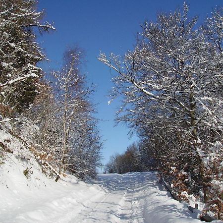 Ferienwohnung Sauerlandblick Goldhausen 외부 사진