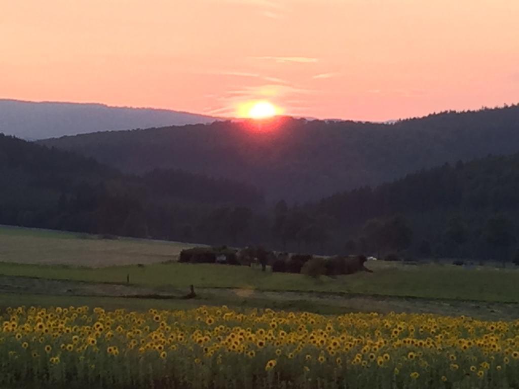 Ferienwohnung Sauerlandblick Goldhausen 외부 사진
